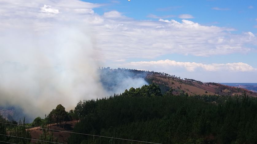 Use of fire as the tool for land clearing is still posing a great challenge to a number of tree growers in the Southern Highlands.