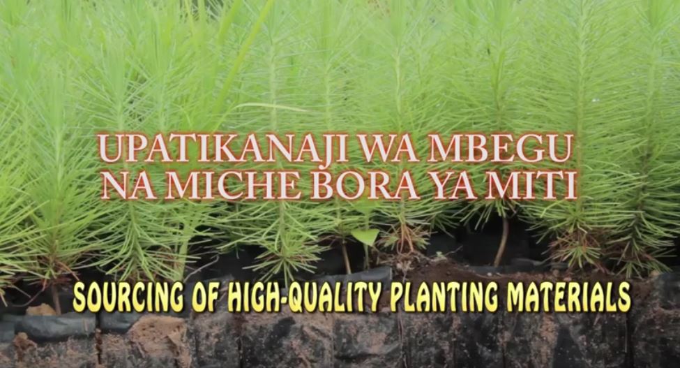 SOURCING OF HIGH QUALITY PLANTING MATERIALS2